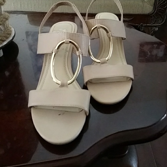 Scandals - Picture 2 of 6